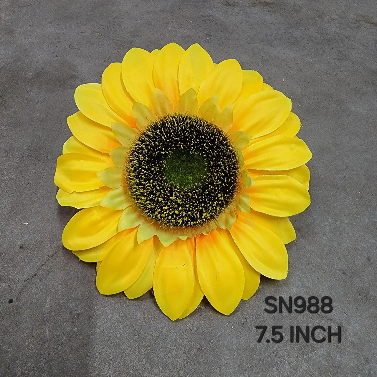 Img 20250527 Wa0029