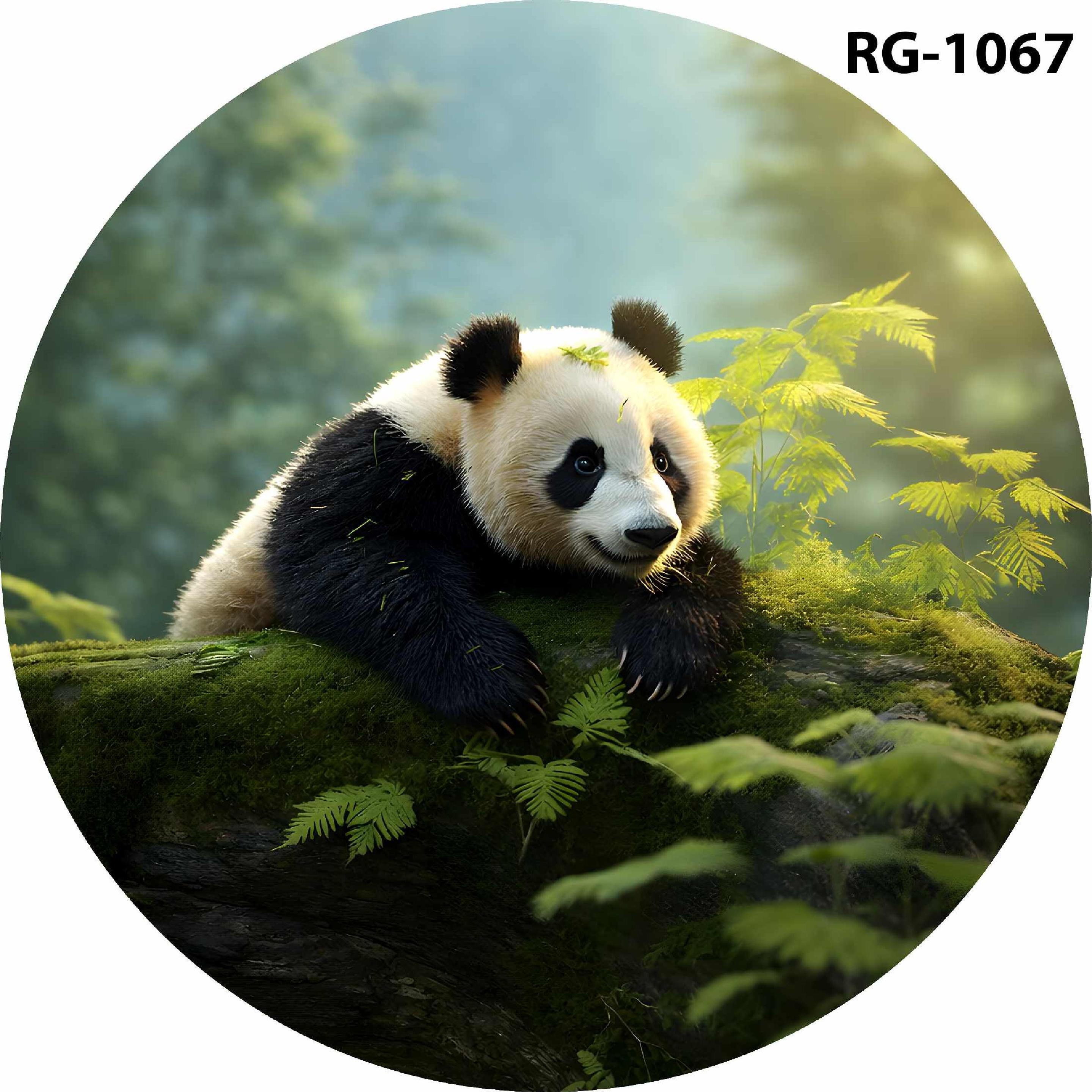 Ring 101
