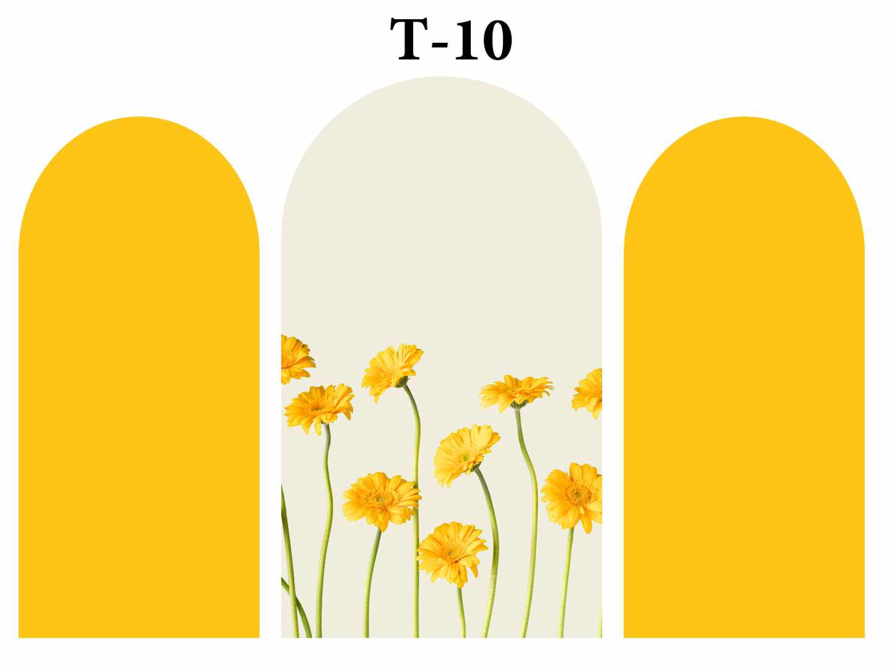 T Arc 10